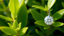 Sparkle Sustainably: The Ultimate Guide to Lab Grown Diamond Earrings