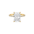 Pave